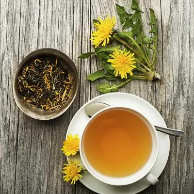 Ταραξάκο (Taraxacum officinale): Ιδιότητες, Οφέλη, Παρενέργειες και Δοσολογία
