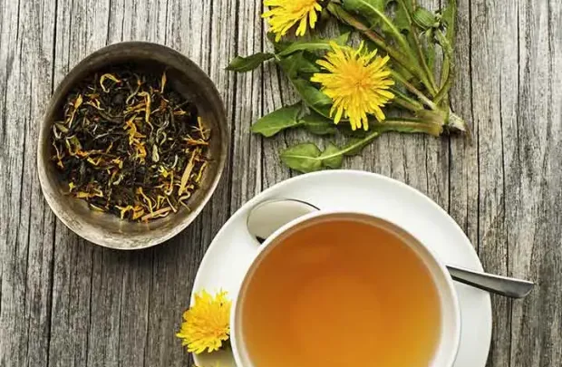Ταραξάκο (Taraxacum officinale): Ιδιότητες, Οφέλη, Παρενέργειες και Δοσολογία Ταραξάκο (Taraxacum officinale): Ιδιότητες, Οφέλη, Παρενέργειες και Δοσολογία