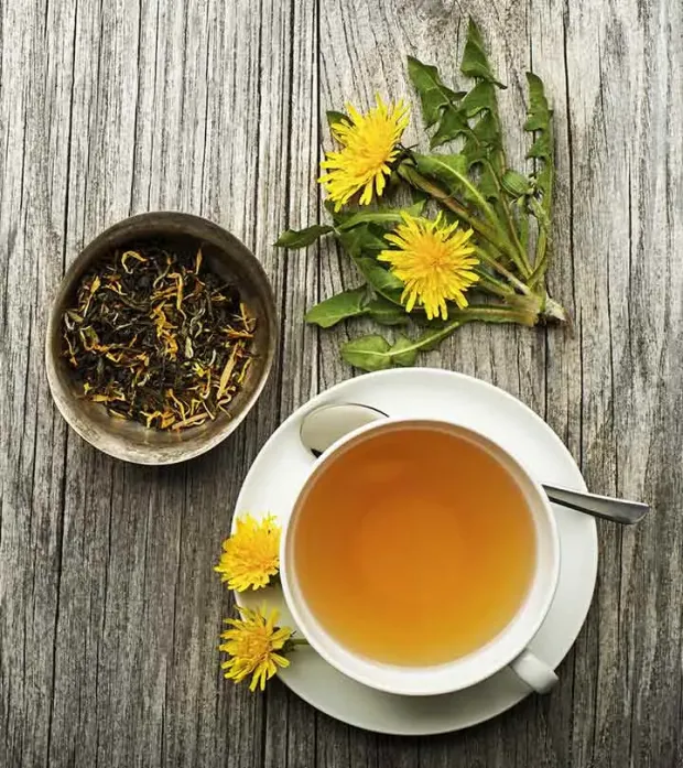 Ταραξάκο (Taraxacum officinale): Ιδιότητες, Οφέλη, Παρενέργειες και Δοσολογία