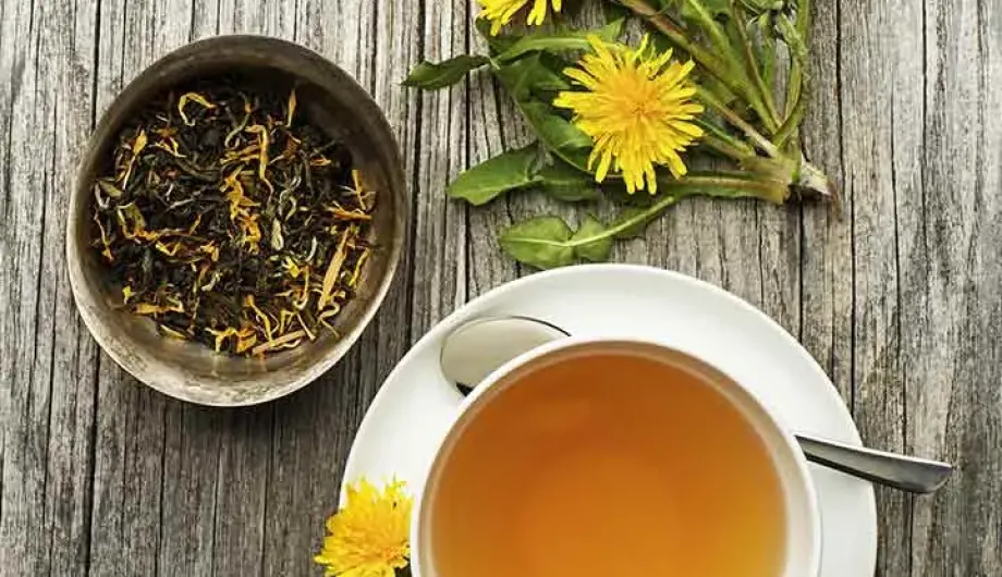 Ταραξάκο (Taraxacum officinale): Ιδιότητες, Οφέλη, Παρενέργειες και Δοσολογία