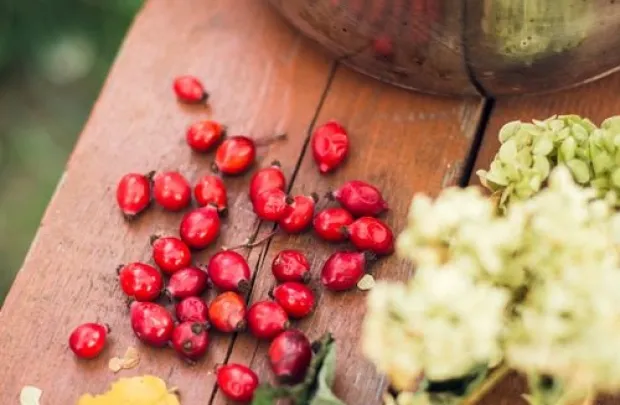 Rosehip ή αλλιώς άγριο τριαντάφυλλο - Το πιο πλούσιο βότανο σε βιταμίνη C