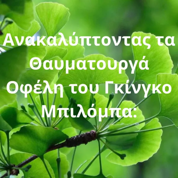 Ανακαλύπτοντας τα Θαυματουργά Οφέλη του Γκίνγκο Μπιλόμπα: Το Φυτό της  Μνήμης και της Υγείας