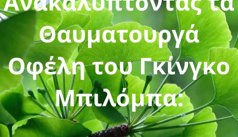 Ανακαλύπτοντας τα Θαυματουργά Οφέλη του Γκίνγκο Μπιλόμπα: Το Φυτό της  Μνήμης και της Υγείας