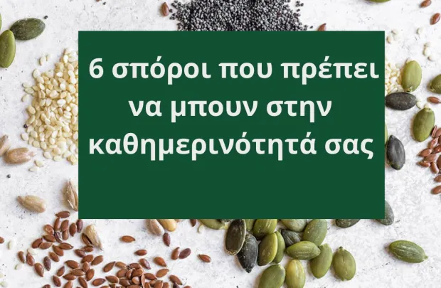 Οι 6 Σπόροι που Πρέπει να Μπουν στην Καθημερινότητά σας Οι 6 Σπόροι που Πρέπει να Μπουν στην Καθημερινότητά σας