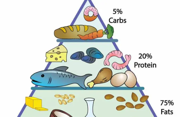 Τι είναι η Κετογονική διατροφή ή Paleo Diet Τι είναι η Κετογονική διατροφή ή Paleo Diet