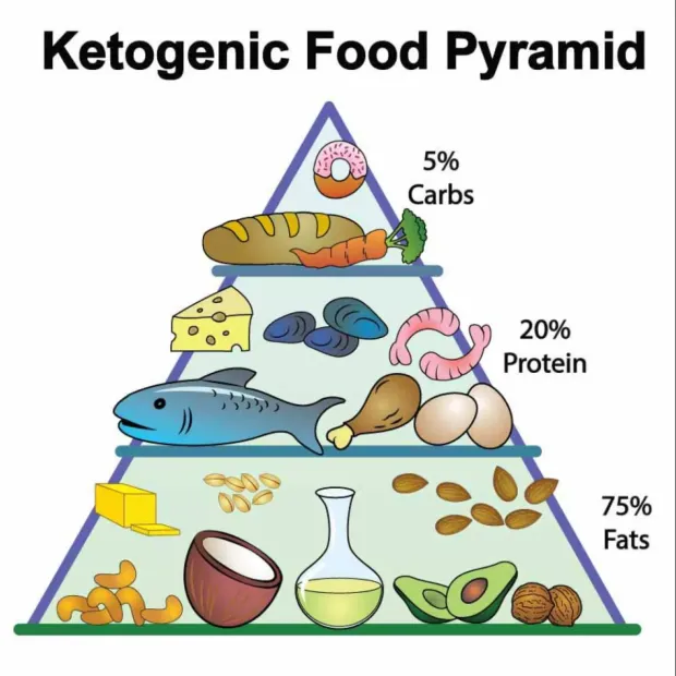 Τι είναι η Κετογονική διατροφή ή Paleo Diet