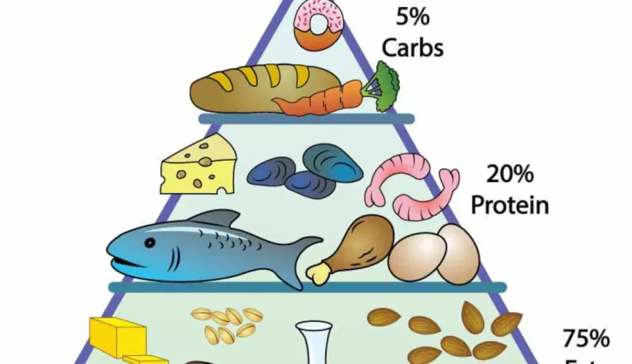 Τι είναι η Κετογονική διατροφή ή Paleo Diet
