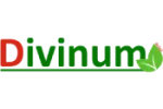 Divinum Image