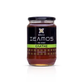 ΧΕΛΜΟΣ Μέλι Ελάτης 480gr 