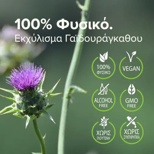 Natural Vitamins Milk Thistle 50ml