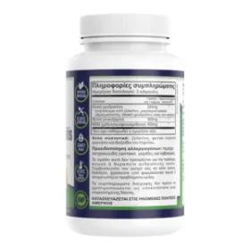 Natural Vitamins Joint and Arthritis Pain 60 Κάψουλες