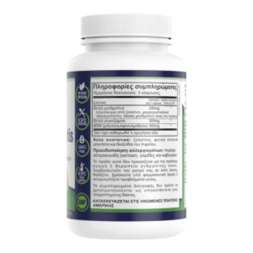 Natural Vitamins Joint and Arthritis Pain 60 Κάψουλες