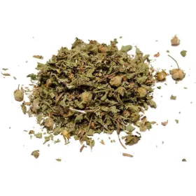 Λαδανιά (Κίστος) Βότανο 50g 