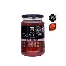 Μέλι Βελανιδιάς 480gr ΧΕΛΜΟΣ