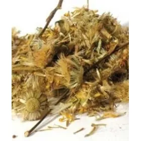 Άρνικα 20gr