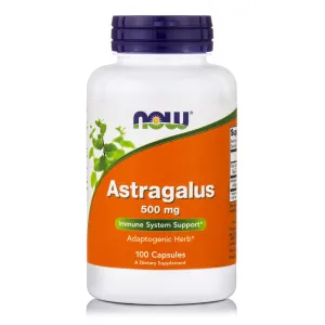 Astragalus 500mg 100 κάψουλες