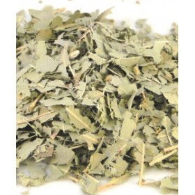 Ευκάλυπτος 30gr Divinum