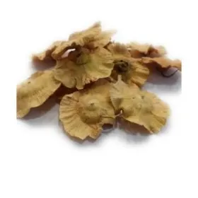 Παλιούρι Βότανο 60gr