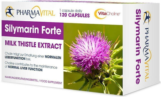 Pharmavital Silymarine Forte Γαϊδουράγκαθο 120 Κάψουλες