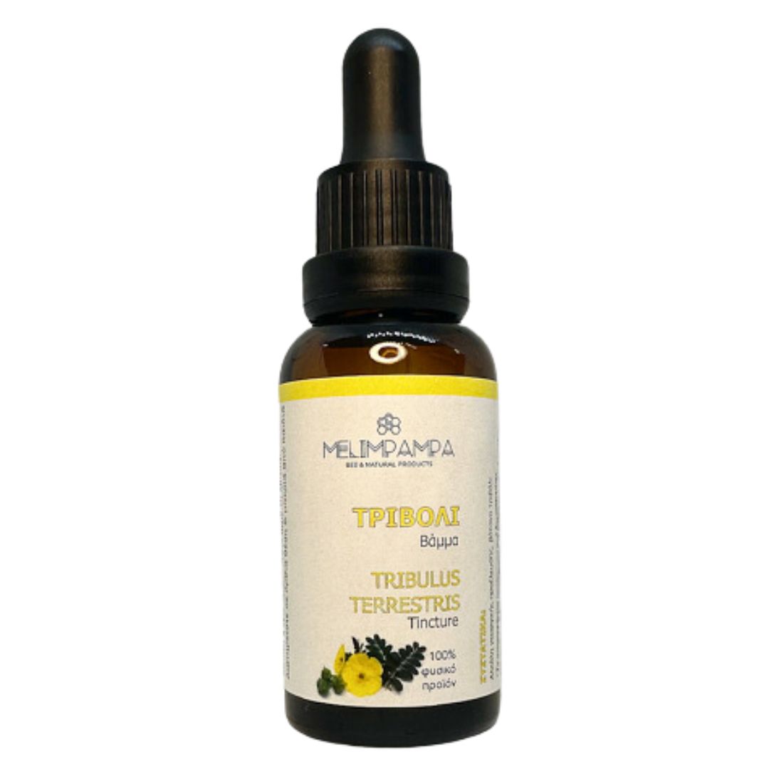 Βάμμα Τριβόλι 30ml Tribulus Terrestris Melimpampa